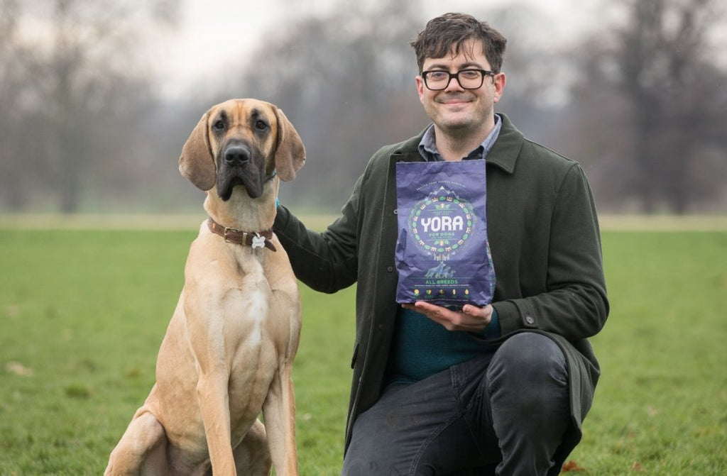 "A sustainable dog food that doesn't cost the earth"