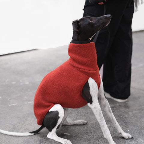 A burn orange boiled wool whippet coats, designed to fit your lifestyle and whippets unique shape