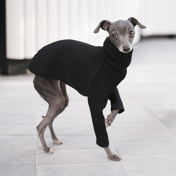 Black Italian Greyhound Jumper - Flint - Occam