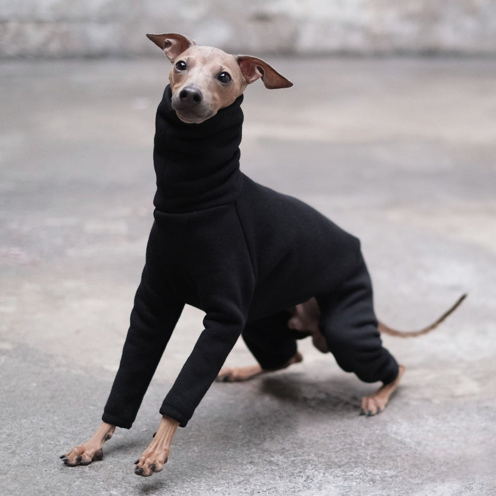 Black Italian Greyhound Onesie - Judd - Occam
