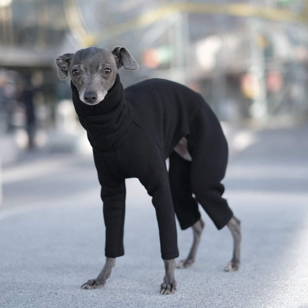 Black Italian Greyhound Onesie - Judd - Occam