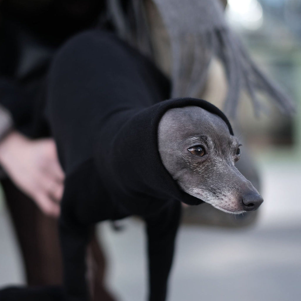 Black Italian Greyhound Onesie - Judd - Occam