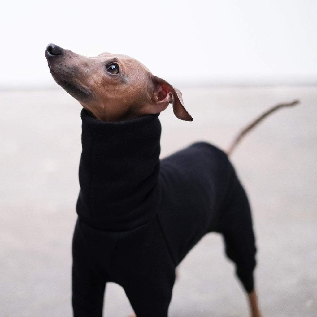 Black Italian Greyhound Onesie - Judd - Occam