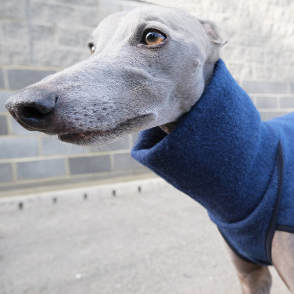 Blue Whippet Coats - Shrimp - Occam