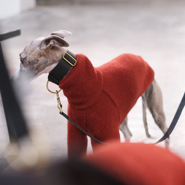 Burnt Orange Whippet Coats - Beuys - Occam