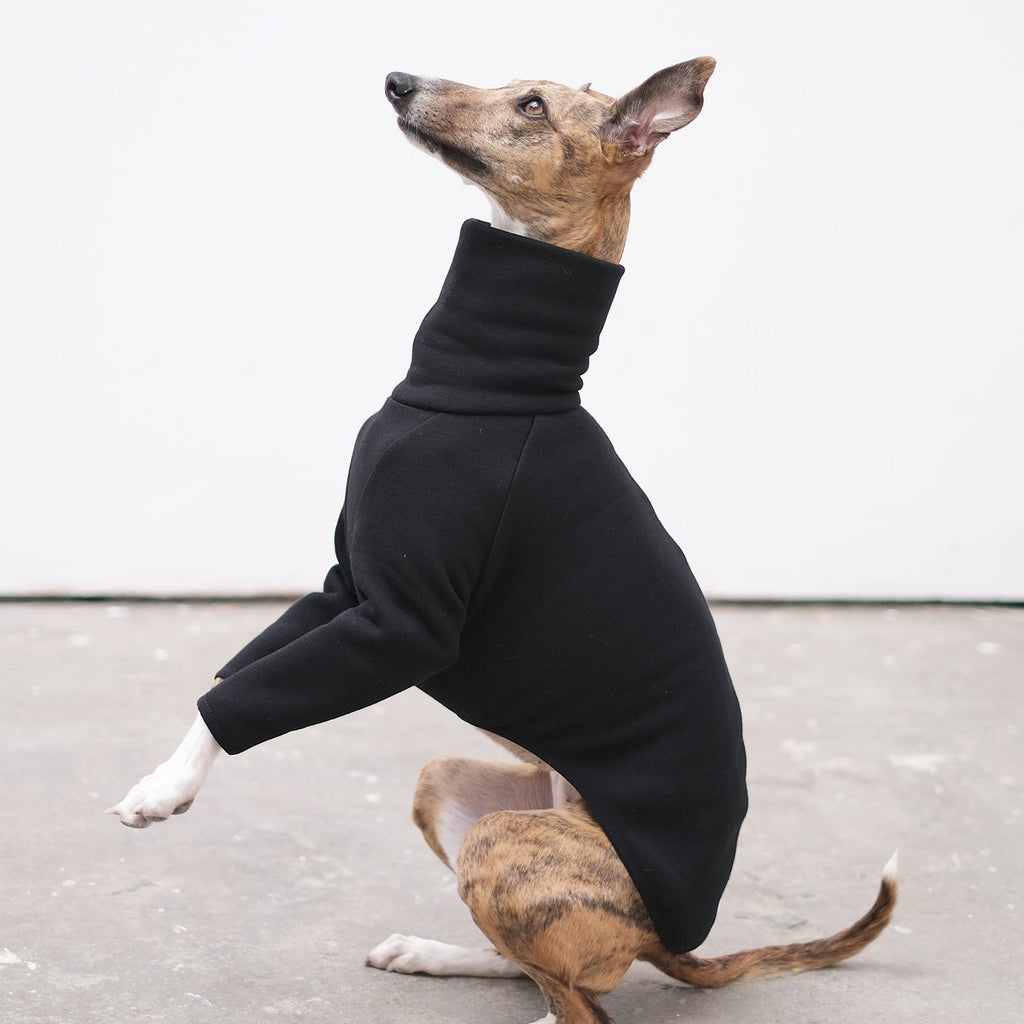 Cotton Whippet Jumper - Flint - Occam