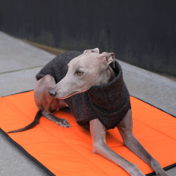 Dog Settle Mat - Sploot - Occam