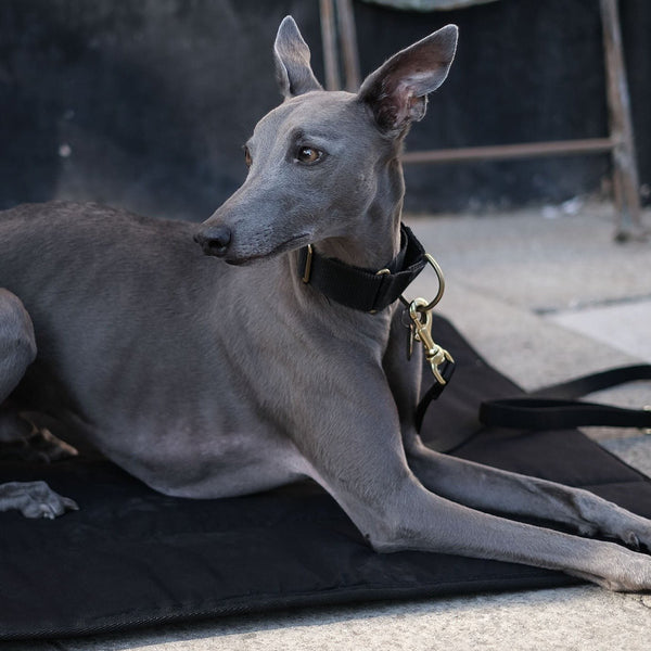 Dog Settle Mat - Sploot - Occam