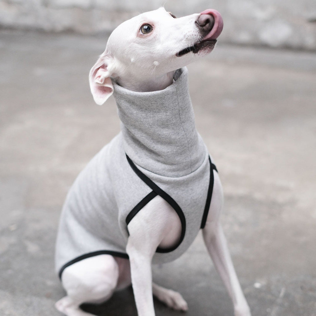 Grey Cotton Whippet Jumper - Wren - Occam