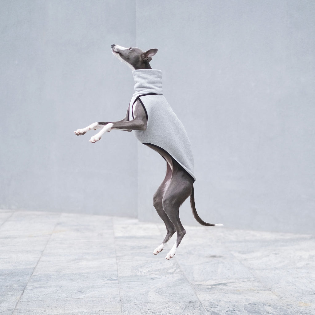 Grey Cotton Whippet Jumper - Wren - Occam