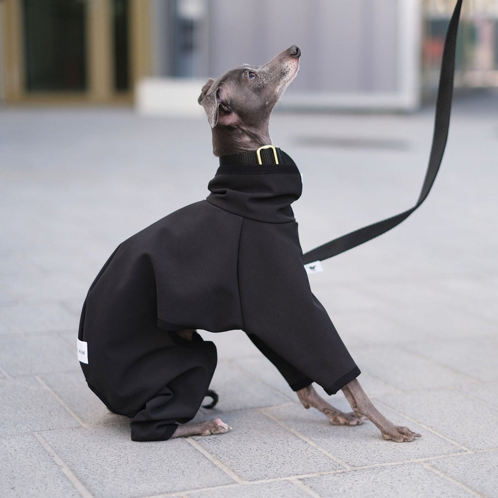 Italian Greyhound Waterproof Onesie - Søren - Occam