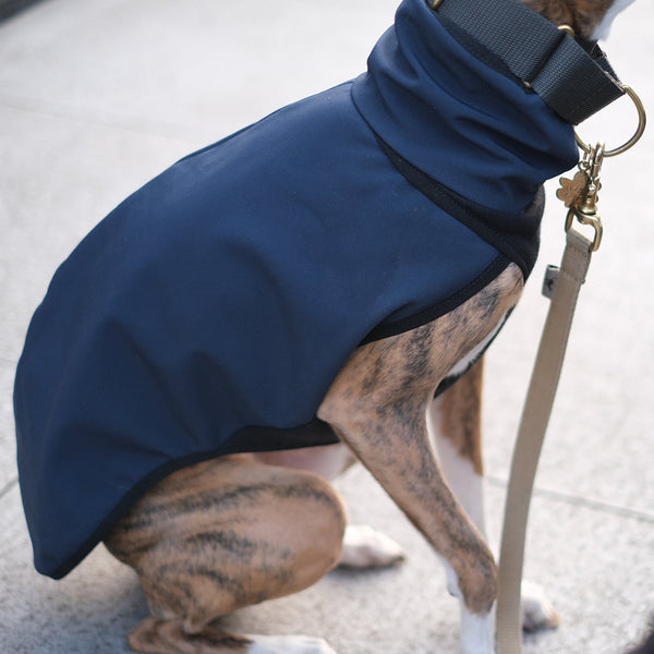 Navy Whippet Waterproof Coat - Kipper - Occam