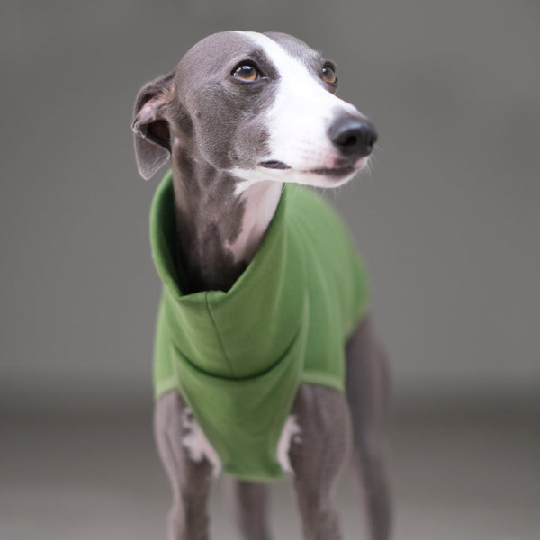 Olive Whippet Jumper - Wren - Occam