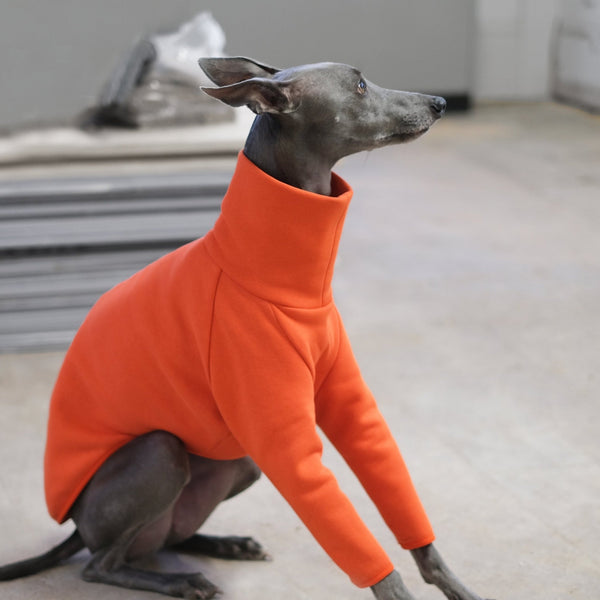 Orange Whippet Jumper - Flint - Occam