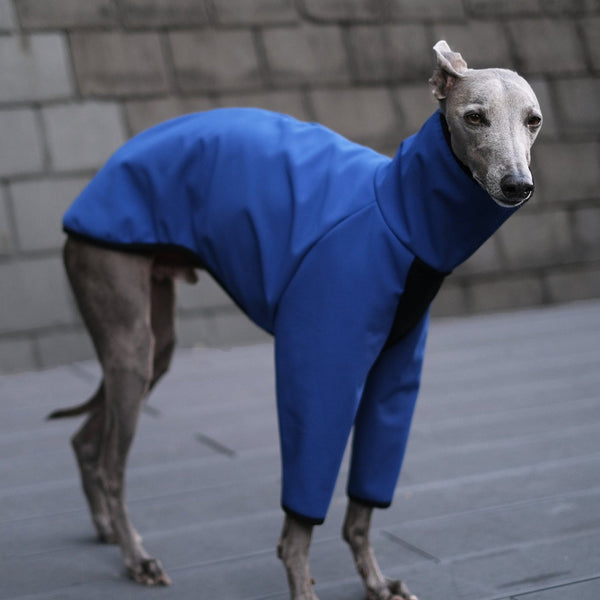 Waterproof Whippet coat - Cobalt - Occam