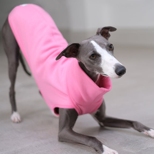 Whippet Jumper - Gerwig - Occam