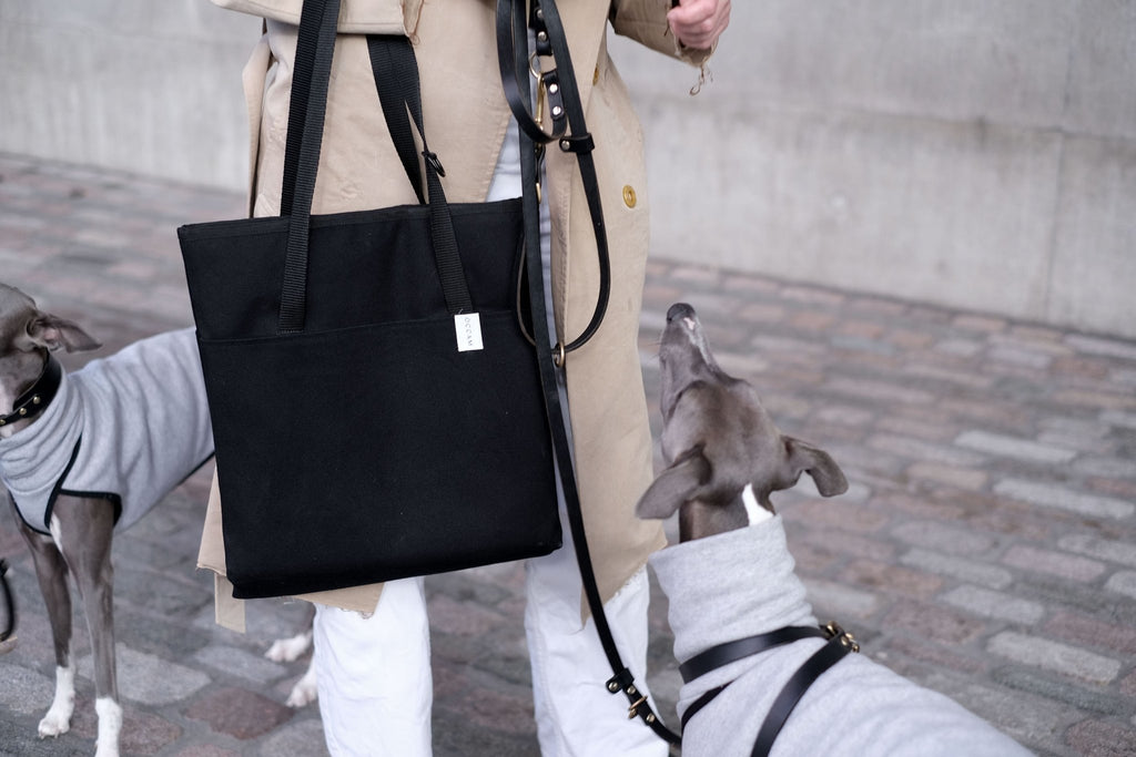 A portable settle mat for dogs