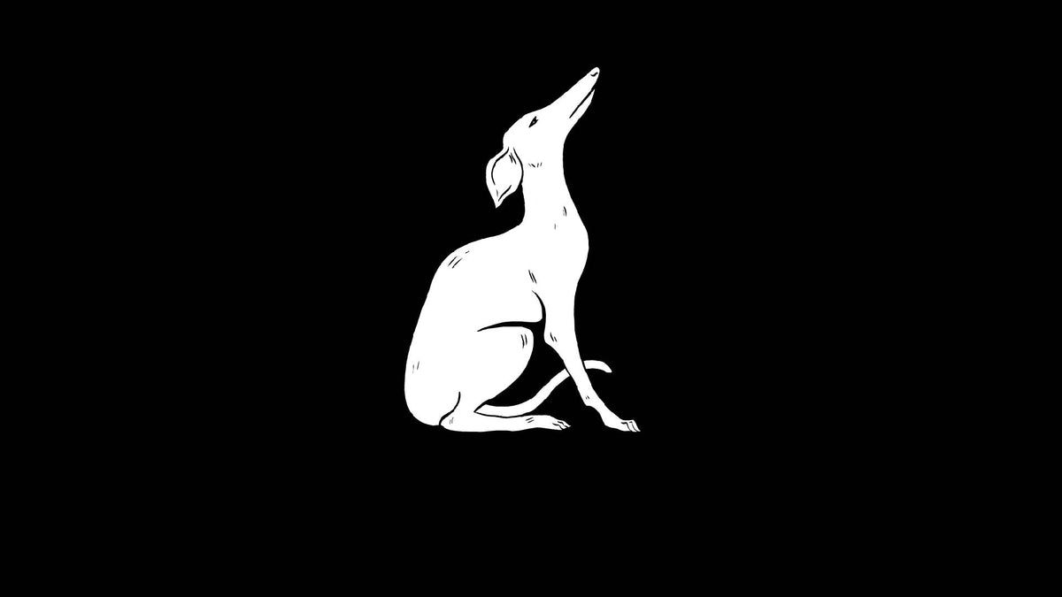 How much exercise does a whippet need? Occam