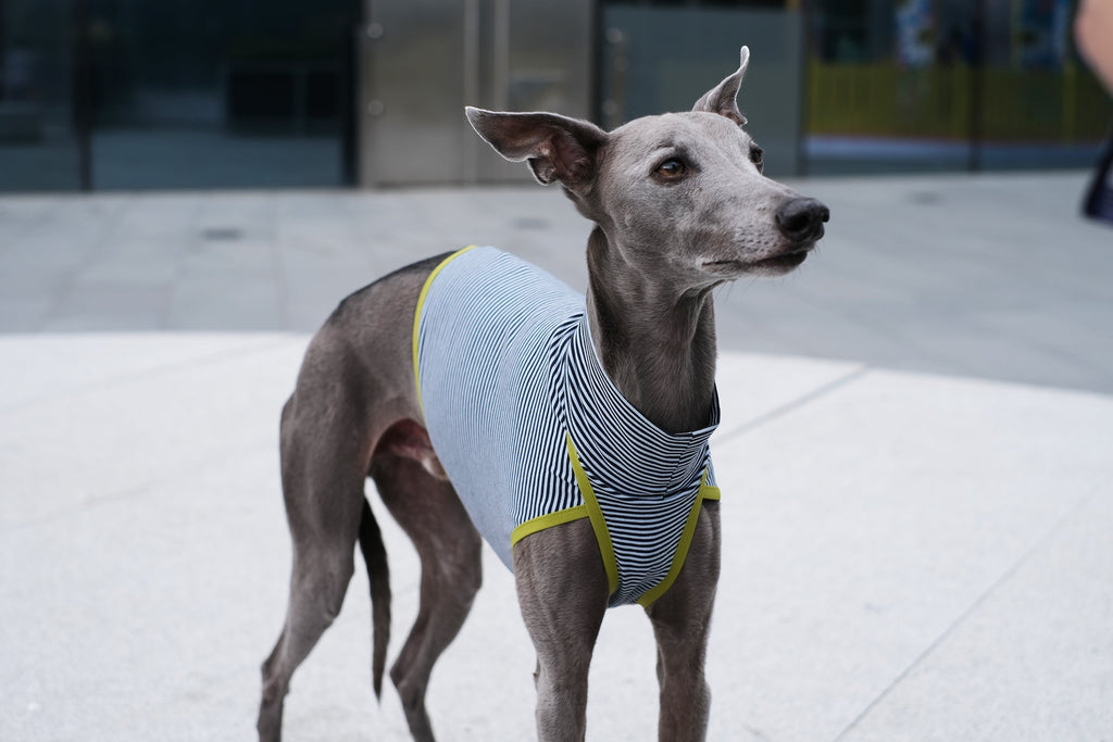 The Bon Vest Top — A Seasonal Essential (April to August)