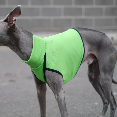 Safety & Cooling vests