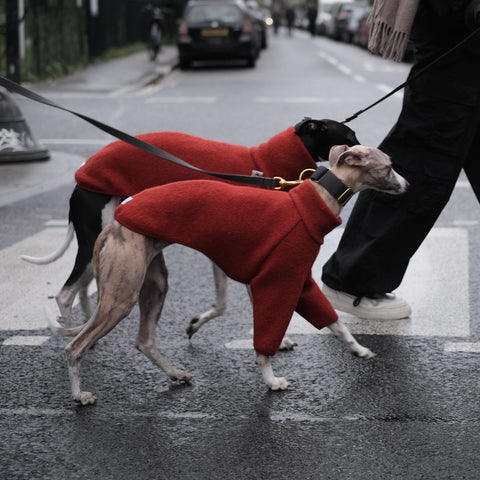 Naturally water resistant waterproof whippet coats. Whippet coats made from Natural fibres.