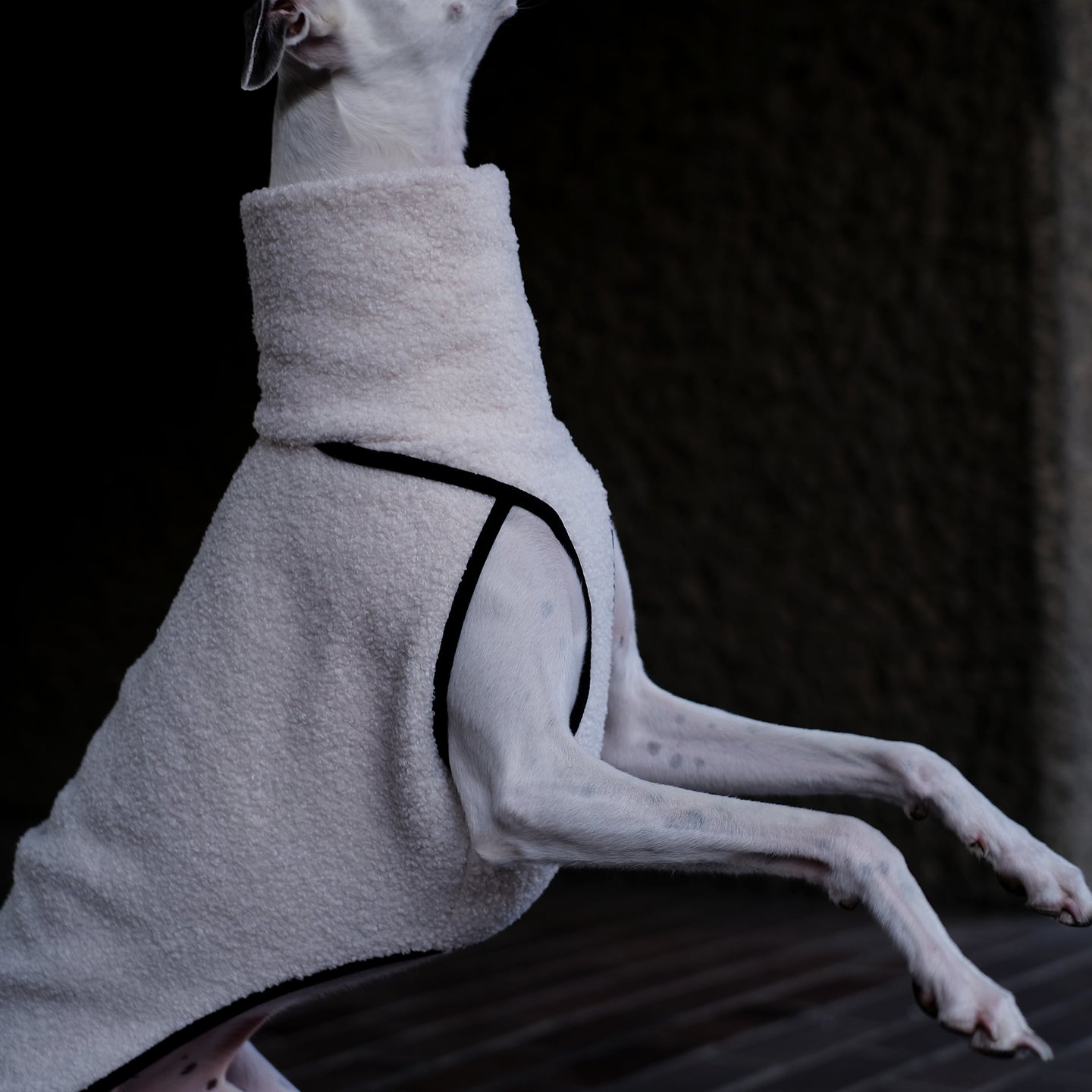 the softest whippet fleece in cream