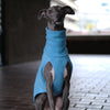 Whippet wearing a blue fleece jumper standing on a pavement