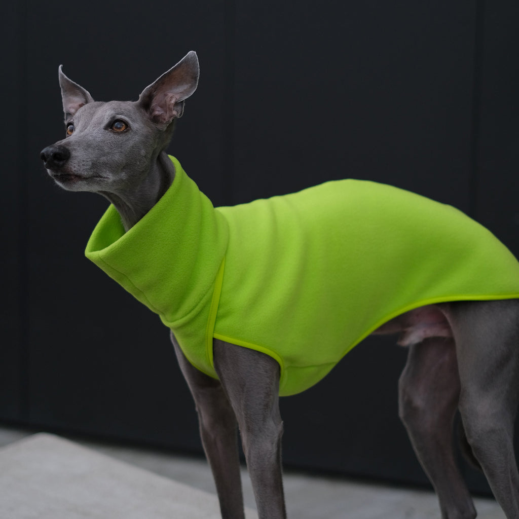 whippet fleece