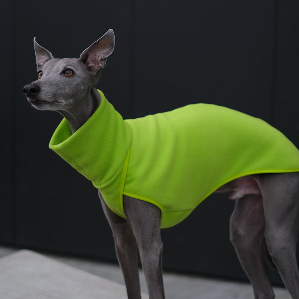 whippet fleece