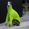 a whippet wearing a long sleeved fleece