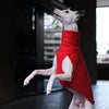 whippet wearing a red jumper