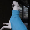 Whippet wearing a blue fleece 
