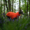 whippet fleece