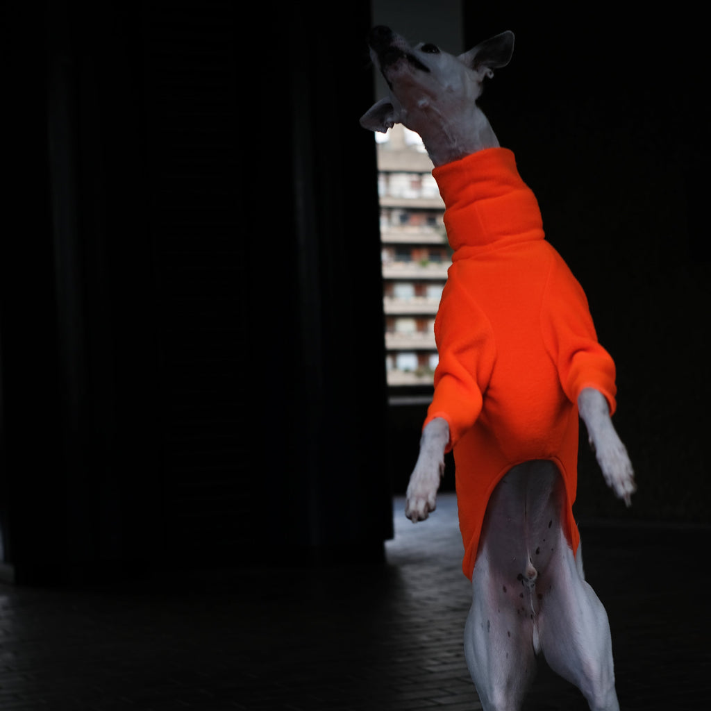 orange whippet fleece jumper