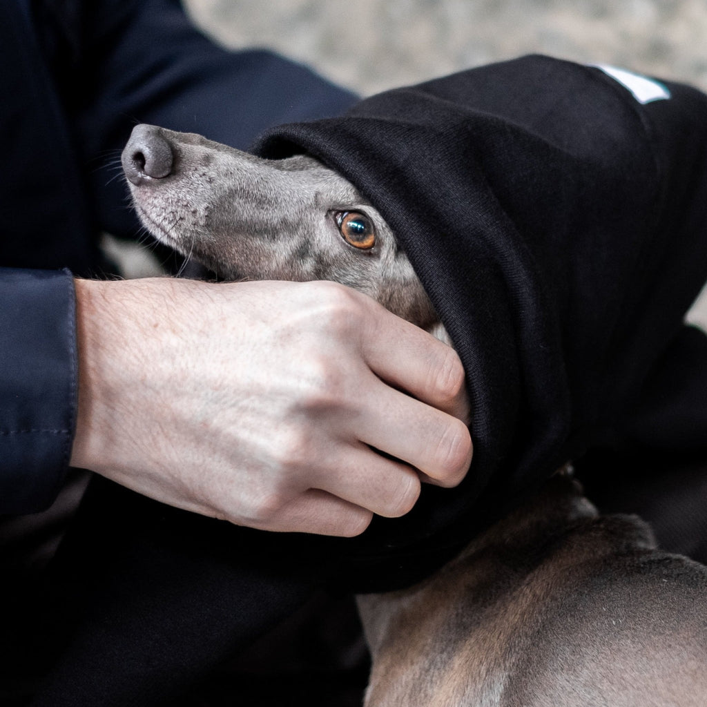 Black Italian Greyhound Onesie - Judd - Occam