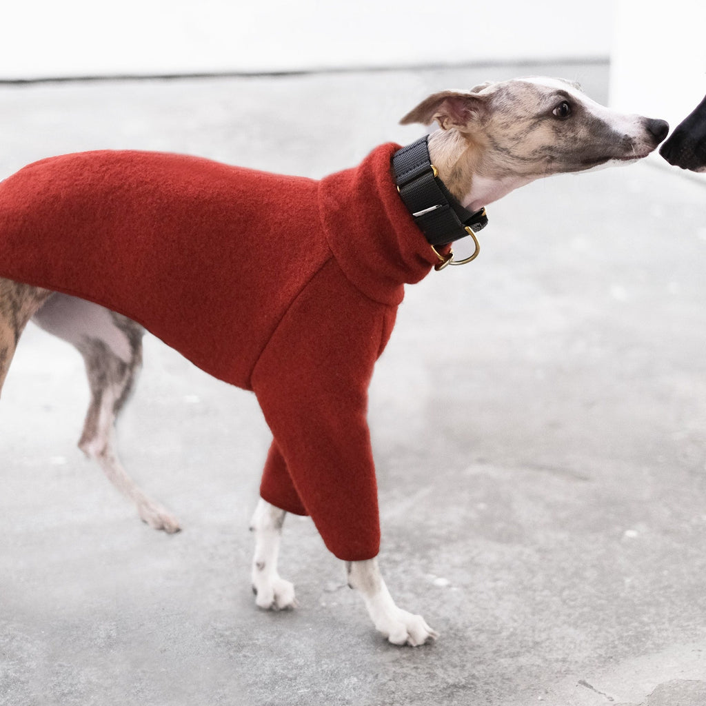 Burnt Orange Whippet Coats - Beuys - Occam