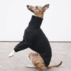 Cotton Whippet Jumper - Flint - Occam