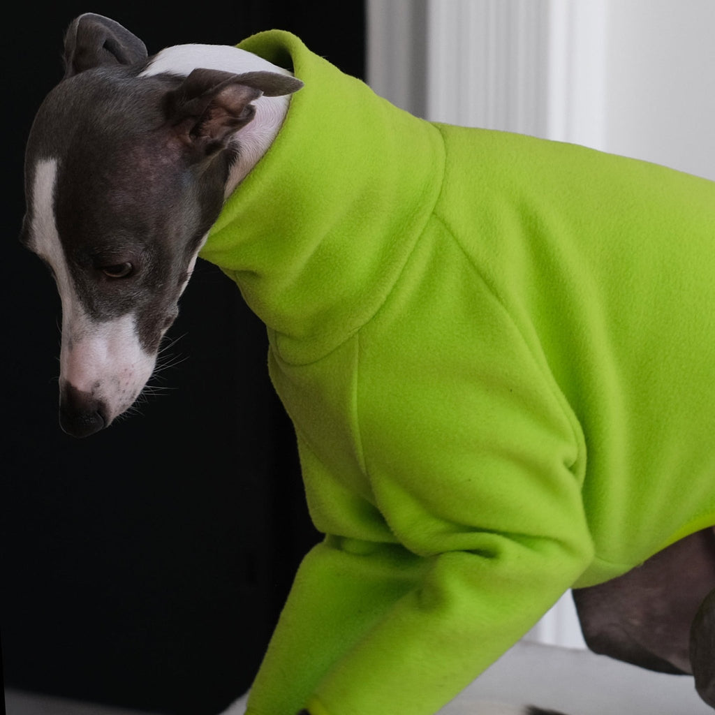 Fleece Whippet Jumper - Fluro Flint - Occam