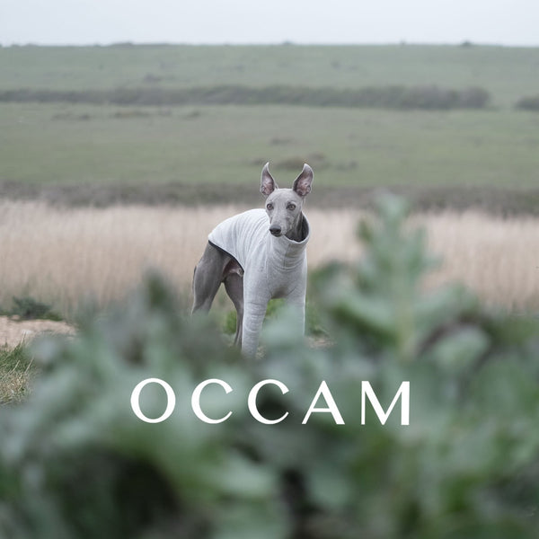 Gift Cards - Occam