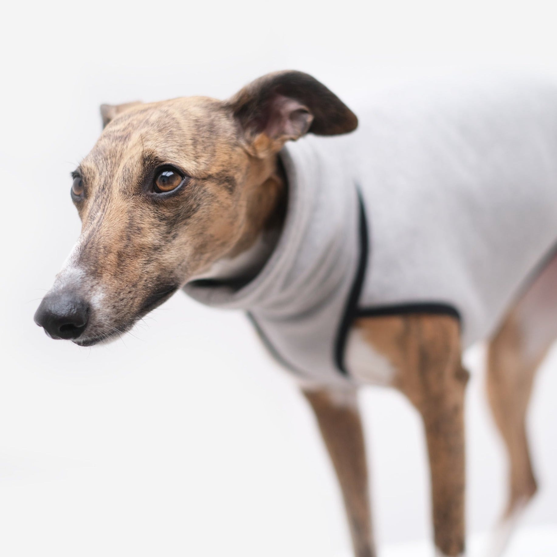 Sleeveless Cotton Whippet jumper Occam