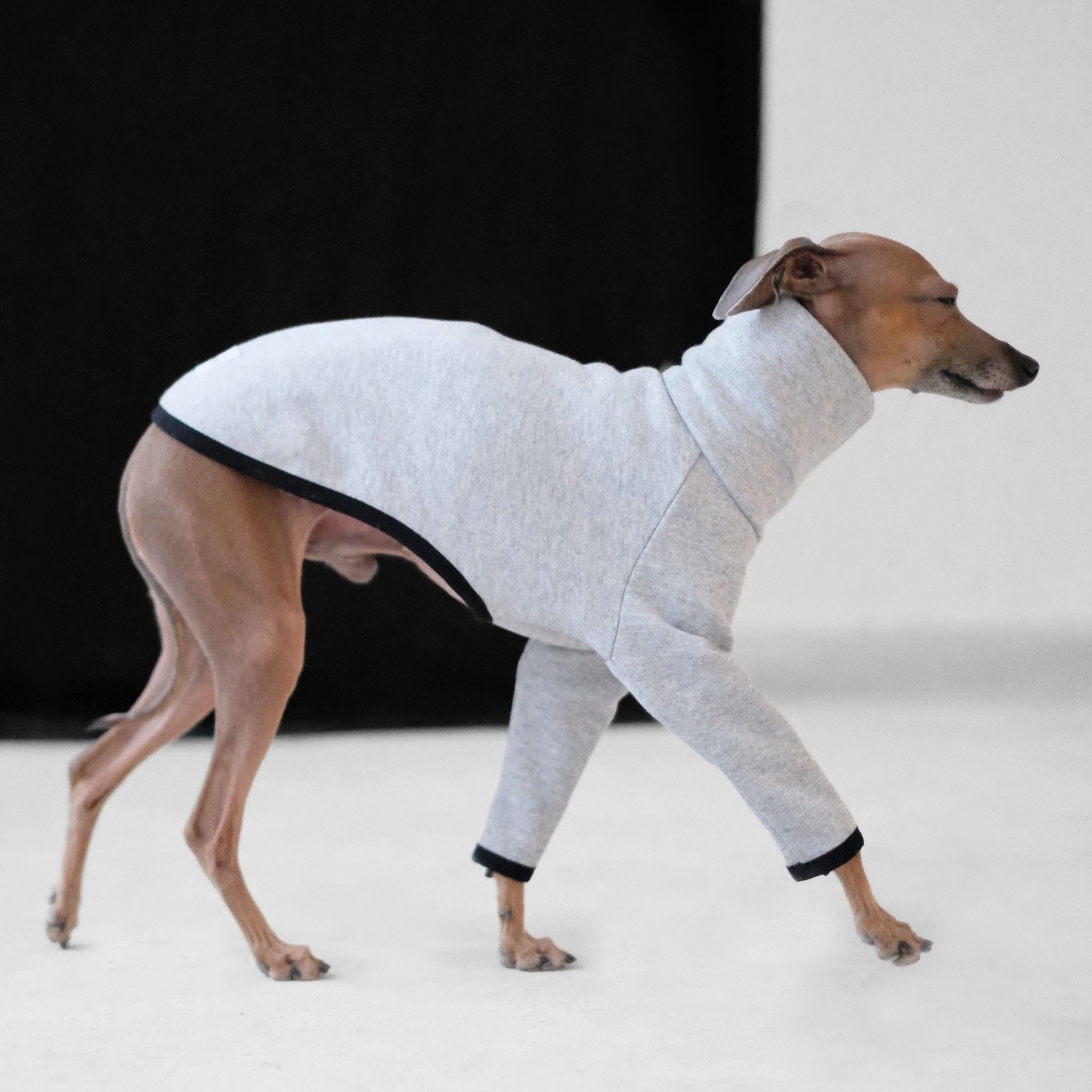 Whippet Coat, Sighthound Jumper Italian Greyhound Coat Whippet Puppy Jumper Whippet Clothes Sighthound Sweater(Brown, XS