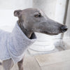 Grey Whippet Coat - Shrimp - Occam