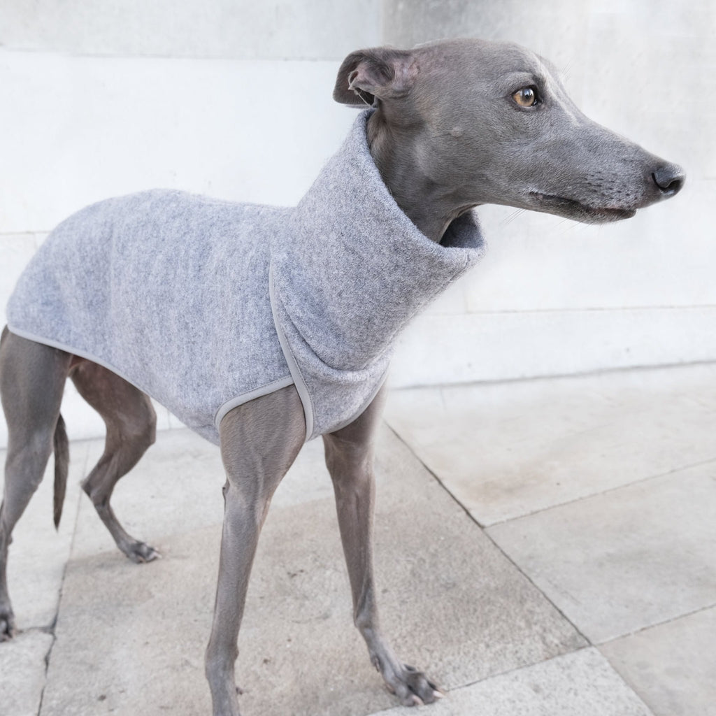 Grey Whippet Coat - Shrimp - Occam