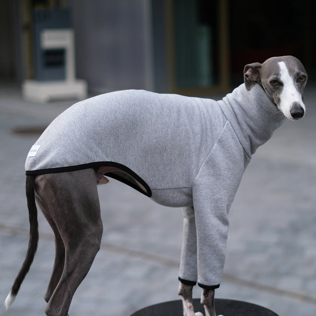 Grey Whippet Jumper - Flint - Occam