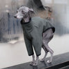 Italian Greyhound Waterproof Coat - Riley - Occam