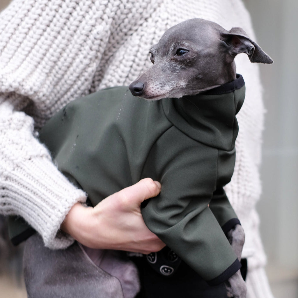 Italian Greyhound Raincoat, made from 100% waterproof softshell