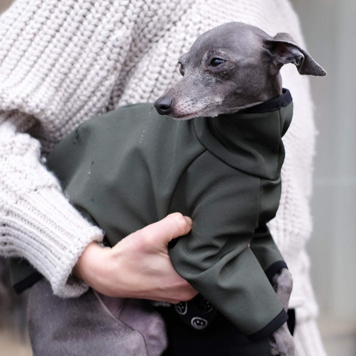 Italian Greyhound Raincoat, made from 100% waterproof softshell