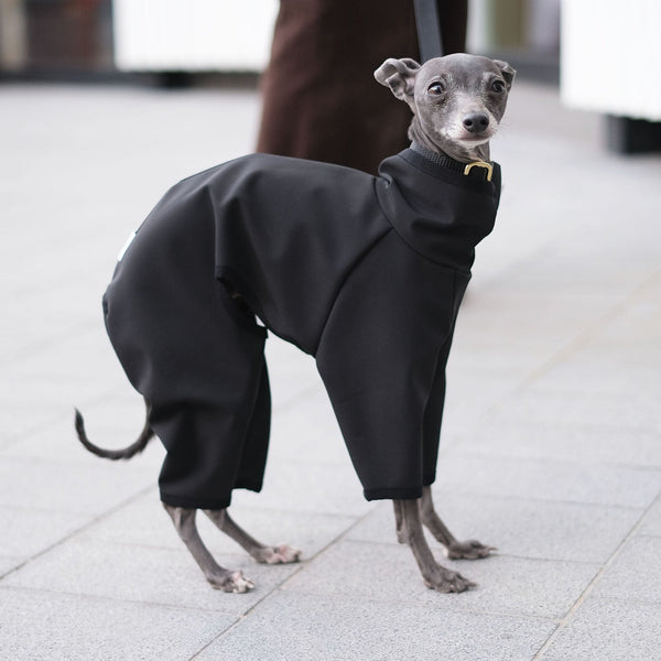 Italian Greyhound Waterproof Onesie - Søren - Occam