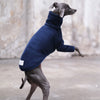 Navy Italian Greyhound Jumper - Flint - Occam