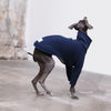 Navy Italian Greyhound Jumper - Flint - Occam